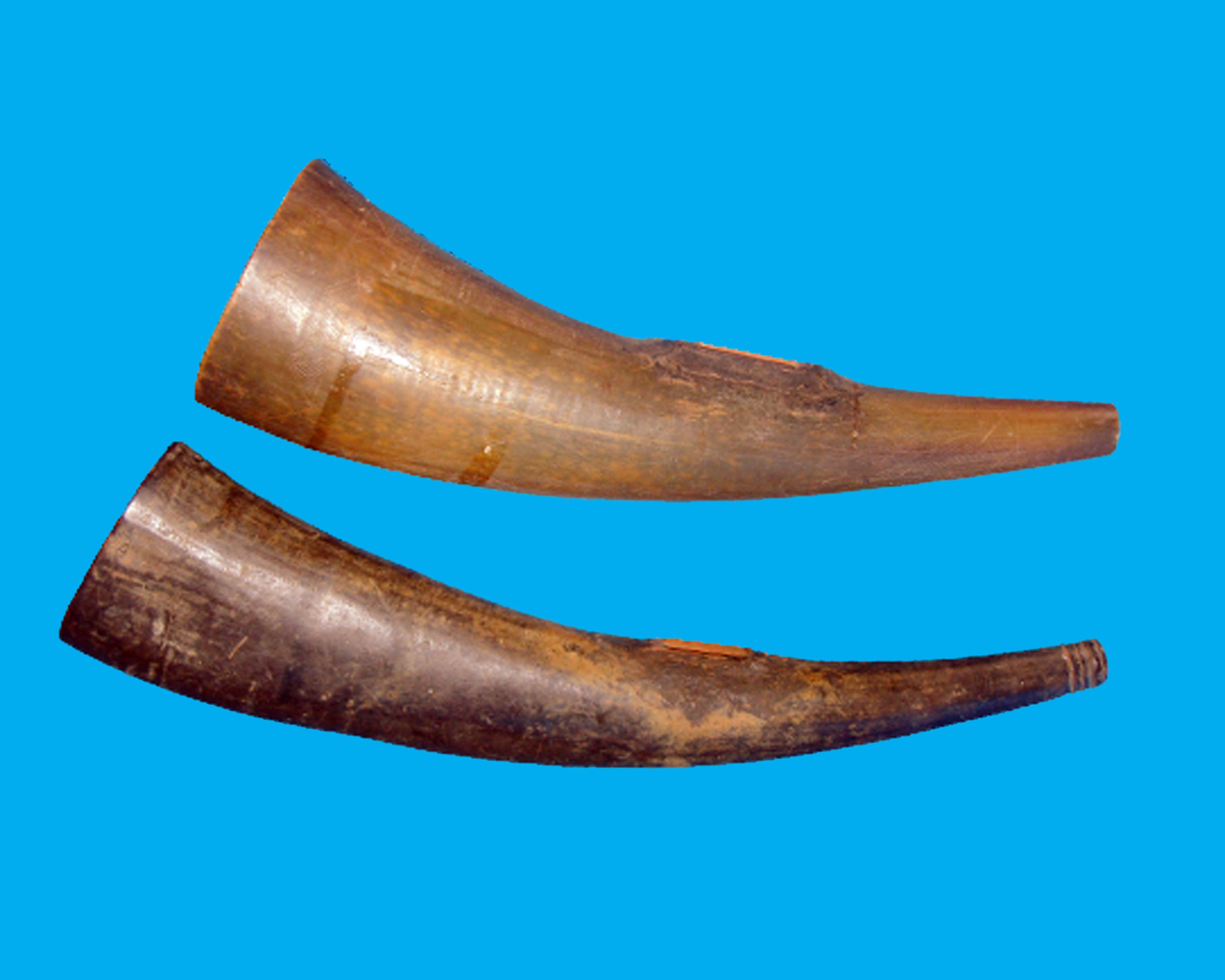 Bảo tàng Ninh thuận
